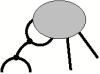 thumbs/f_a4.84.b.jpg