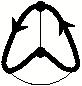 thumbs/f_a6.27.e.jpg
